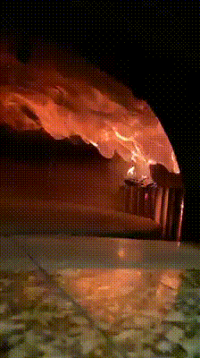 Cottura in forno a legna
